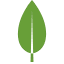 MongoDB